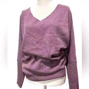 LINY XIN Super Fine Merino Wool Soft Knitted Pullover V neck Purple Women’s S